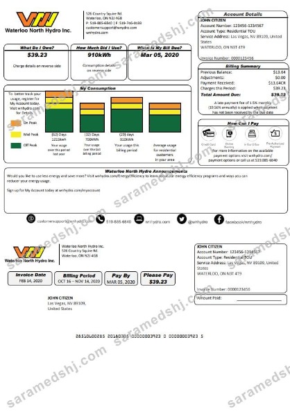 USA Nevada Waterloo North Hydro utility bill template in Word and PDF format (version 2)
